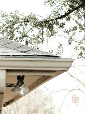 Gutter Cleaning service image