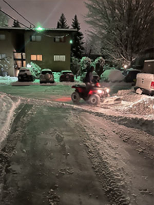 Snow service